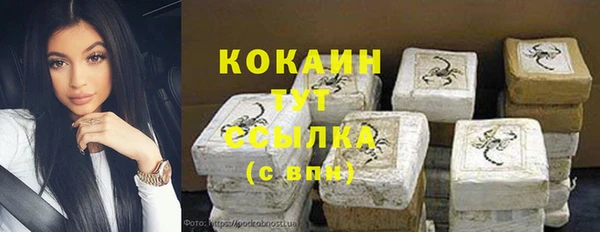 прущие грибы Абинск