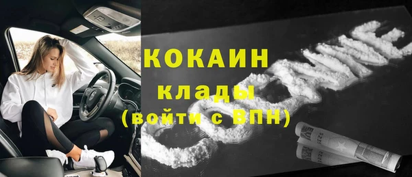 дмт Абаза