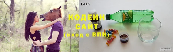 прущие грибы Абинск