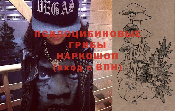 прущие грибы Абинск