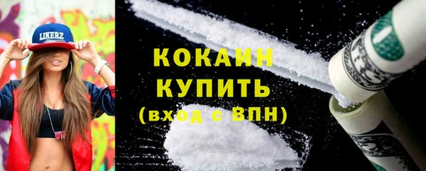 дмт Абаза