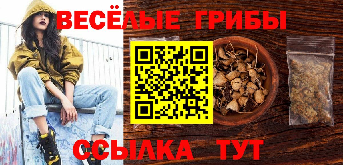 Псилоцибиновые грибы мицелий  Вход с VPN  Назрань 