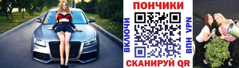 Шишки марихуана марихуана  Назрань 